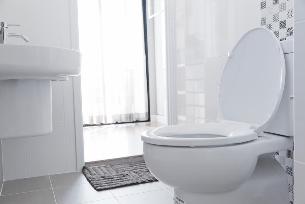 Who Invented The Toilet & Other Historical Bathroom Facts
